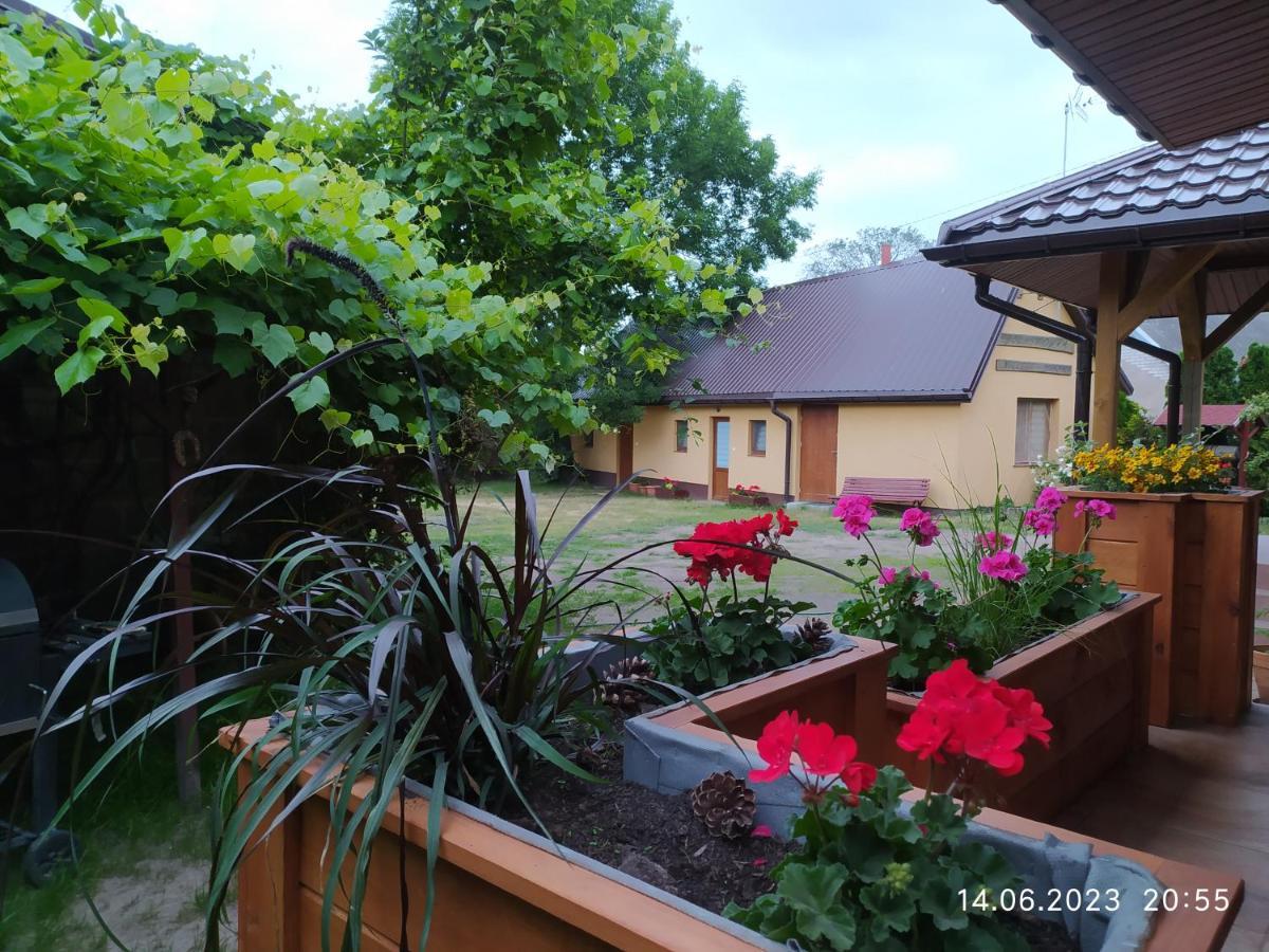 Dolistowka Apartamenty, Pole Namiotowe, Balia Z Jacuzzi, Ogrod Warzywny Dla Gosci, Plac Zabaw Dla Dzieci غونيوندز المظهر الخارجي الصورة